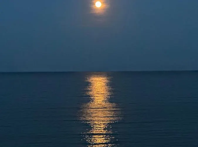 Oazis Sea View * Равда